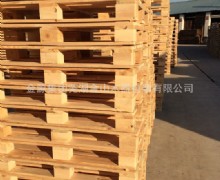 企業環境展示